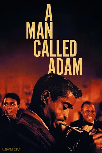 A Man Called Adam