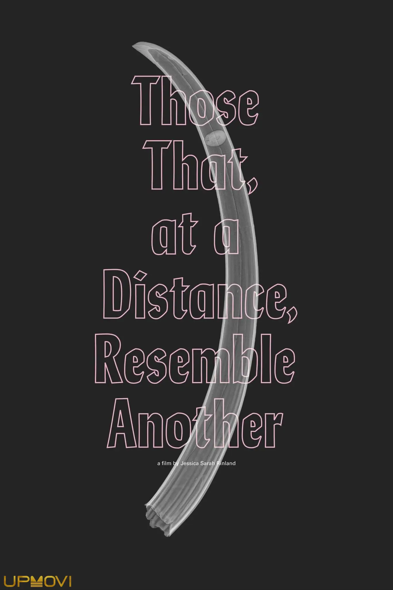Those That, at a Distance, Resemble Another