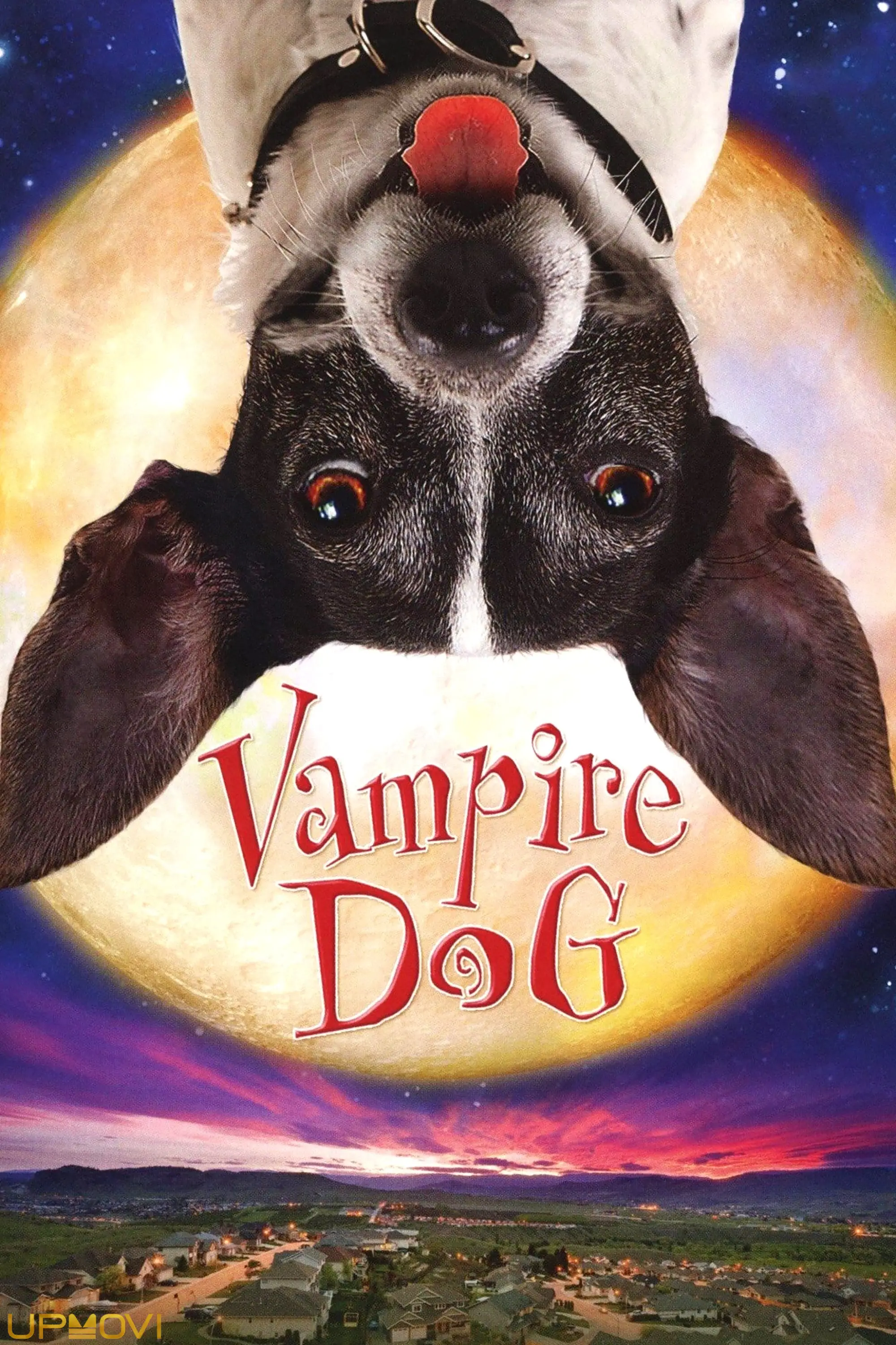 Vampire Dog