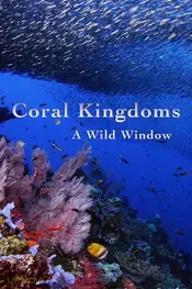 A Wild Window: Coral Kingdoms