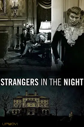 Strangers in the Night