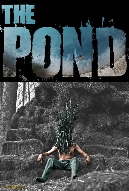 The Pond