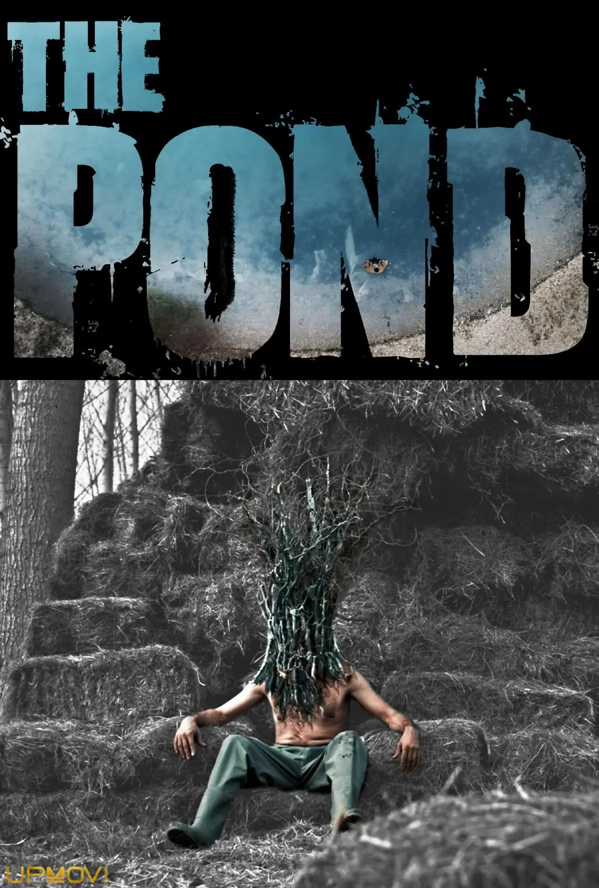 The Pond