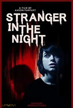 Stranger in the Night