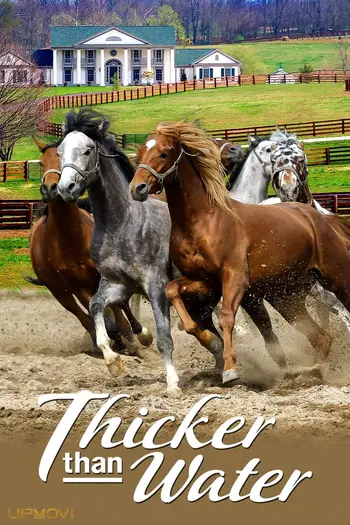 Thicker Than Water