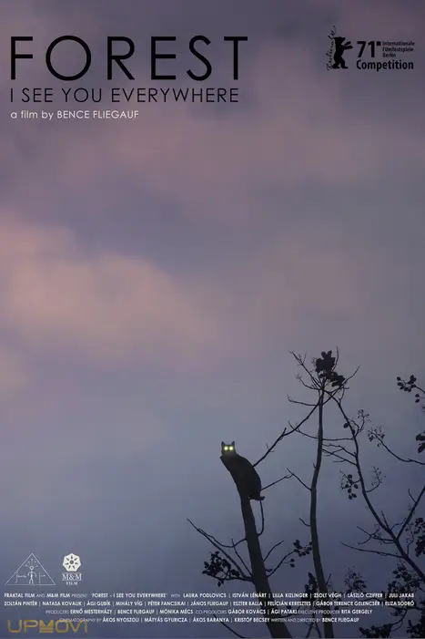 Forest: I See You Everywhere