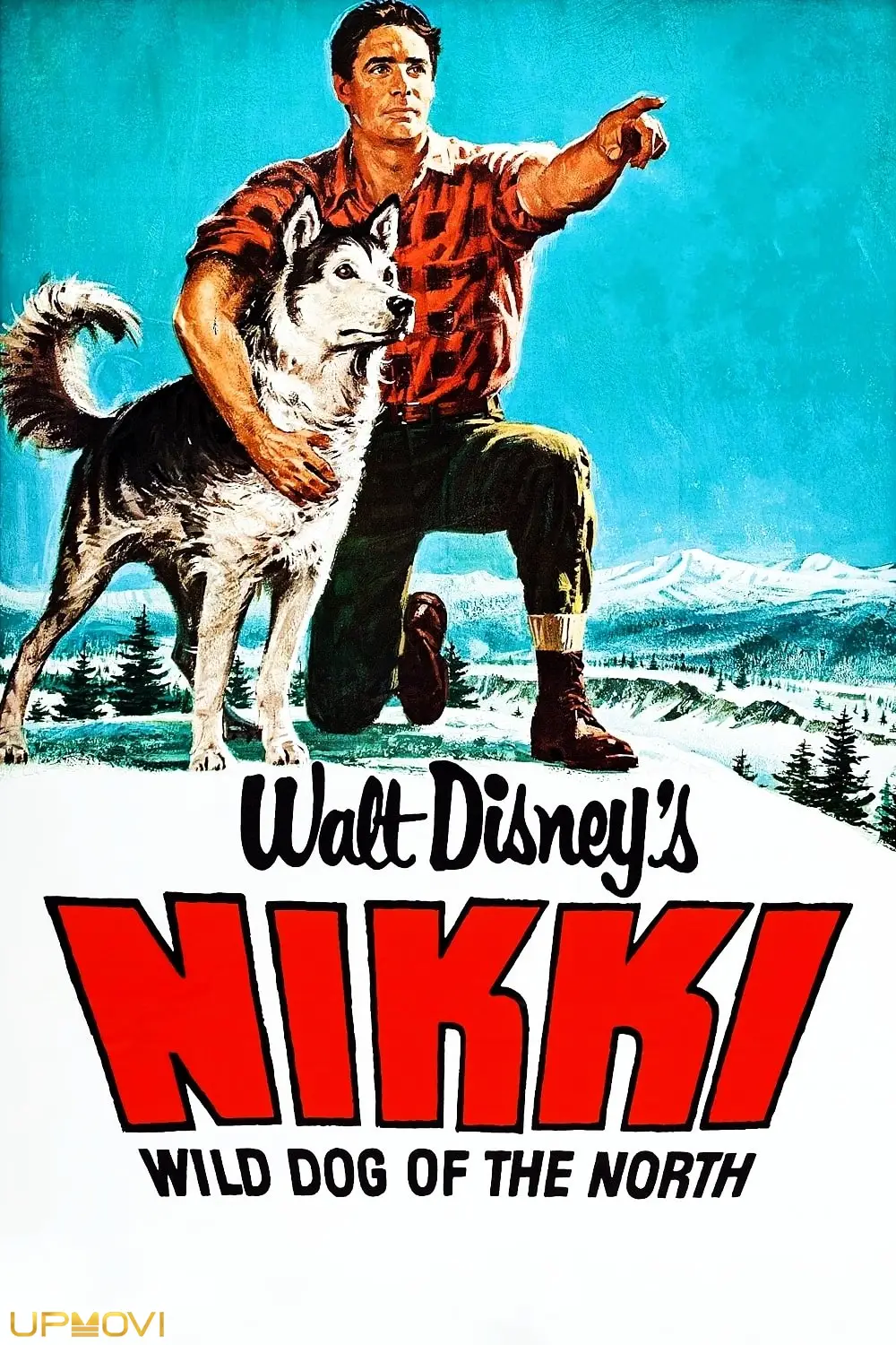 Nikki, Wild Dog of the North