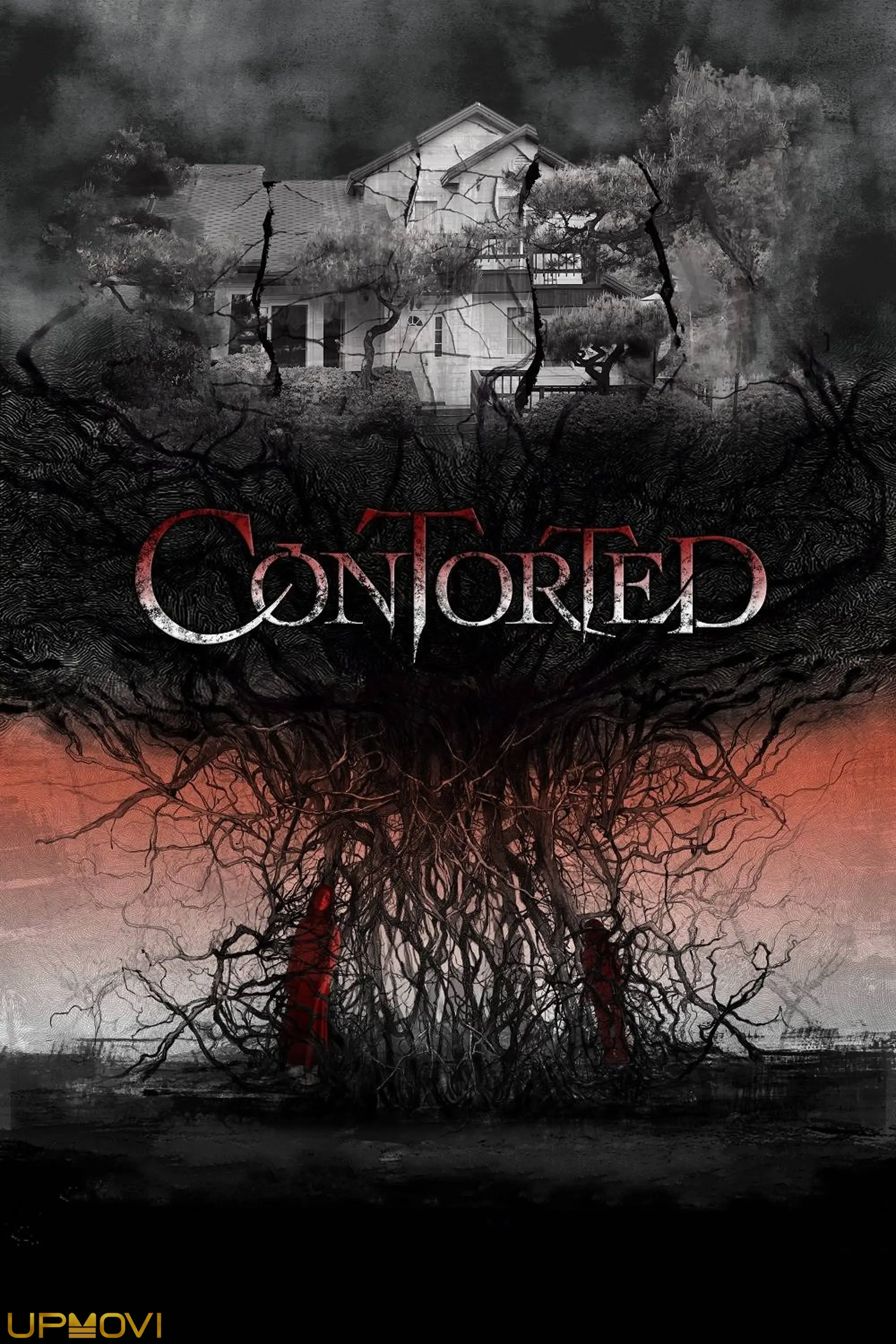 Contorted