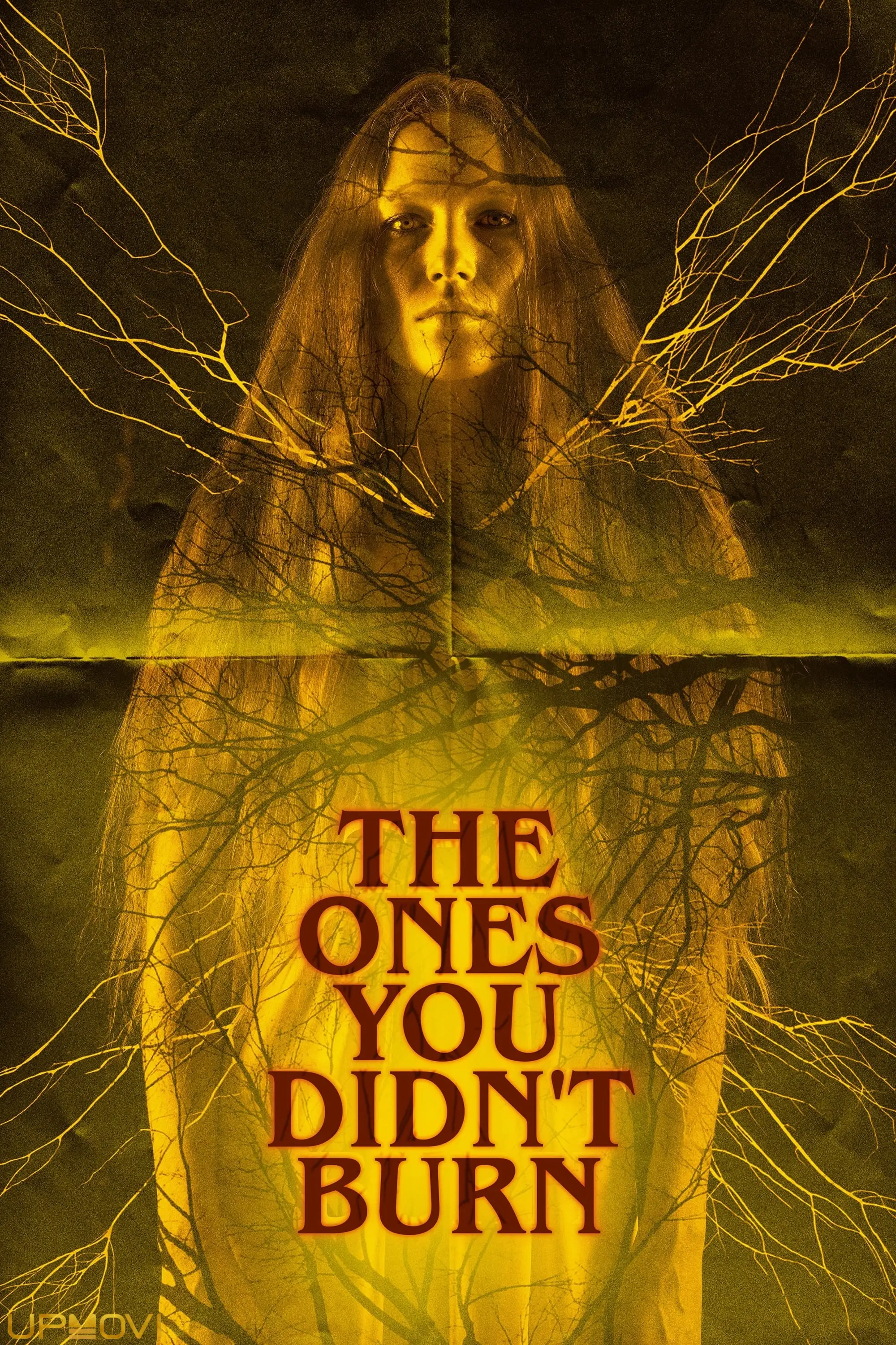 The Ones You Didn’t Burn