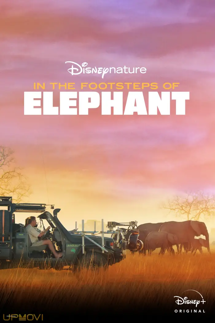 In the Footsteps of Elephant