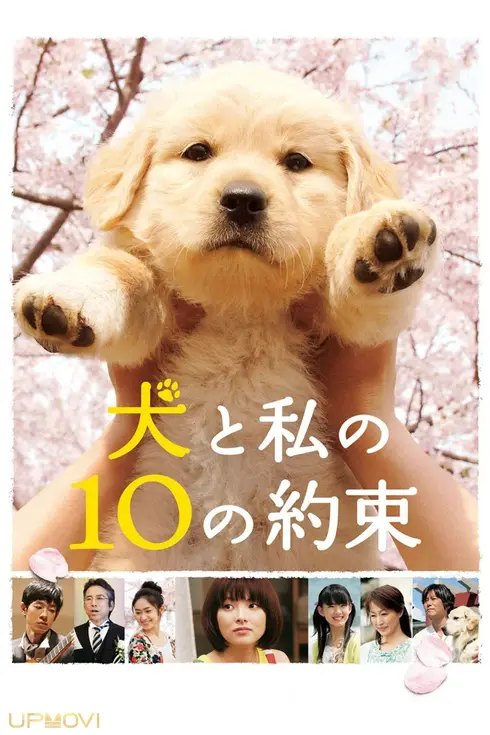 10 Promises to My Dog