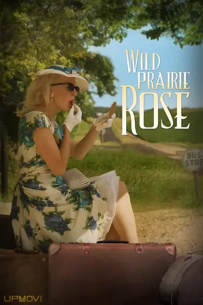 Wild Prairie Rose
