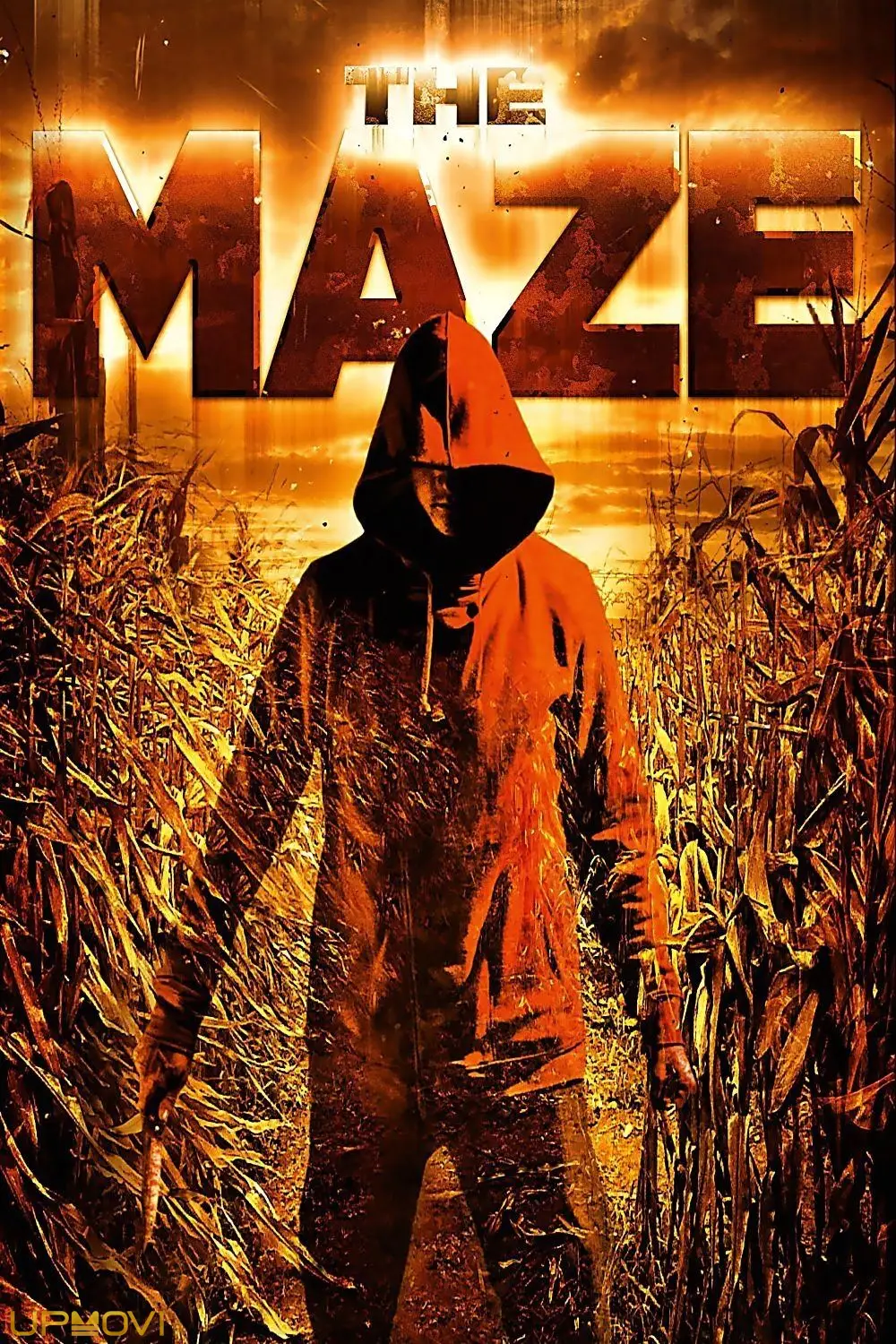The Maze