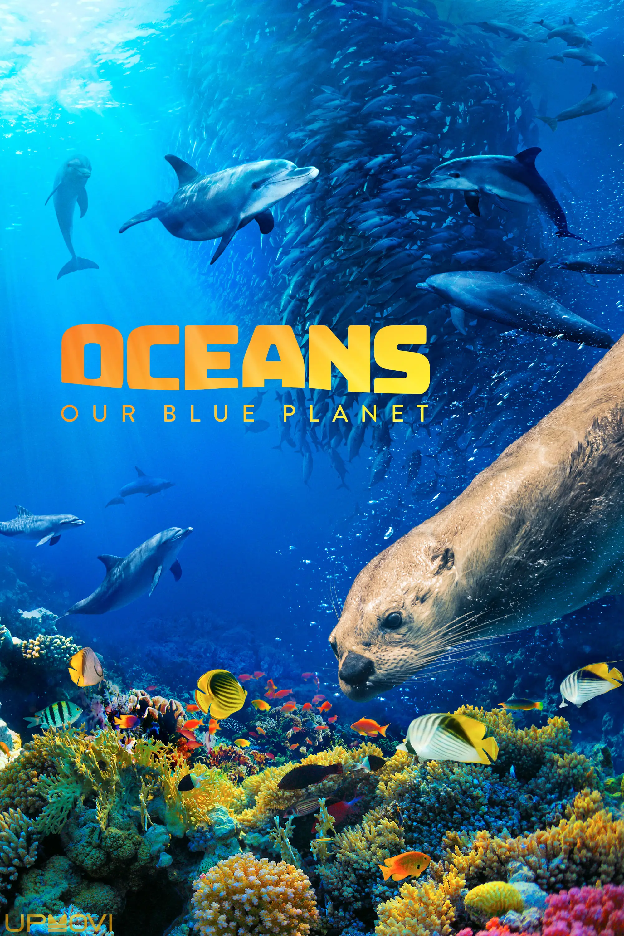 Oceans: Our Blue Planet
