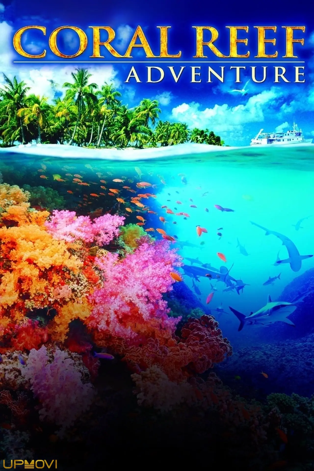 Coral Reef Adventure