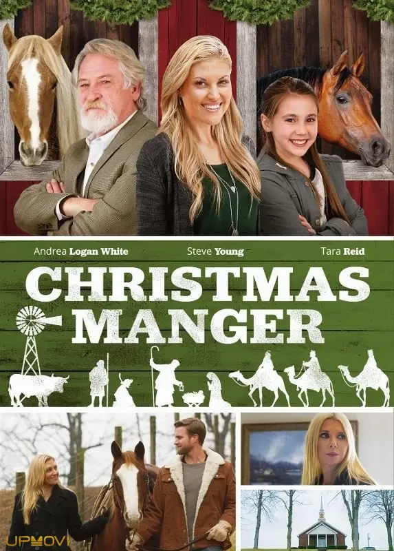 Christmas Manger