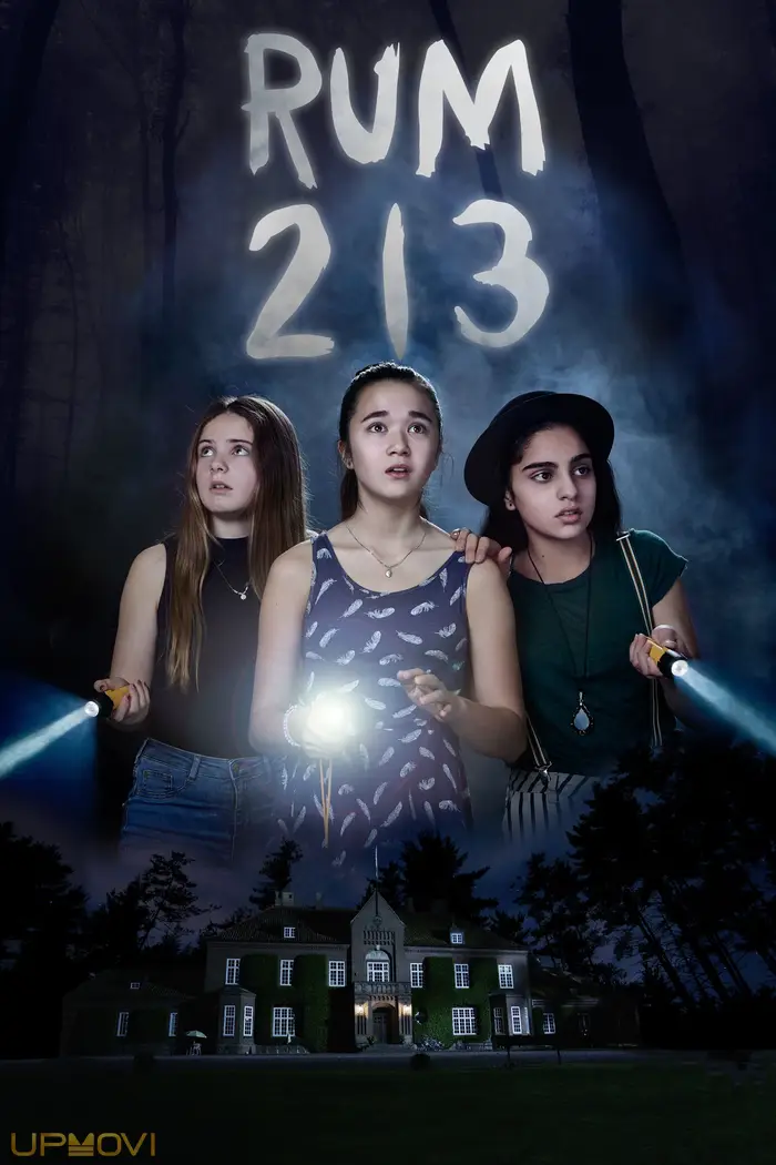 Room 213
