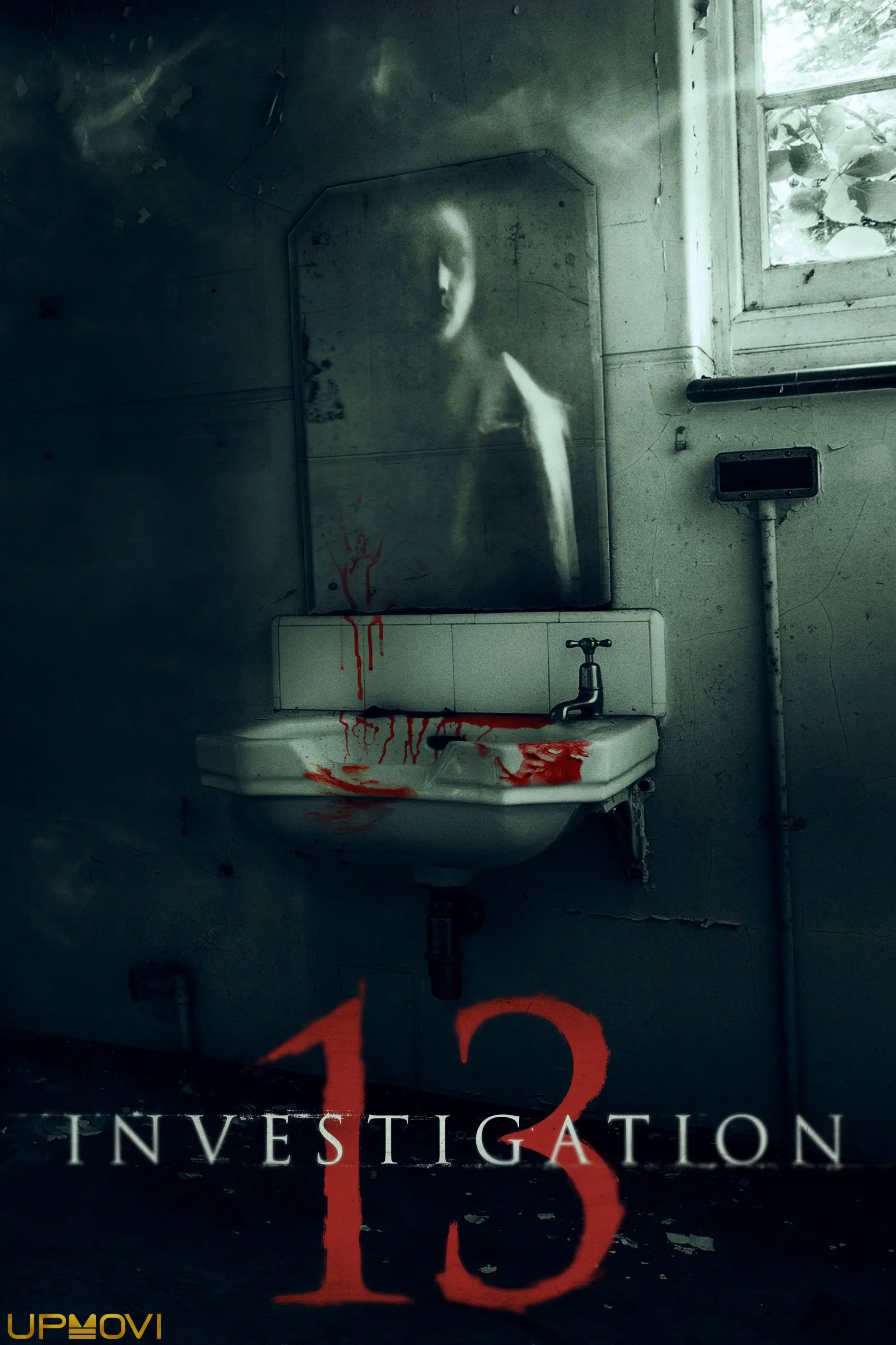 Investigation 13