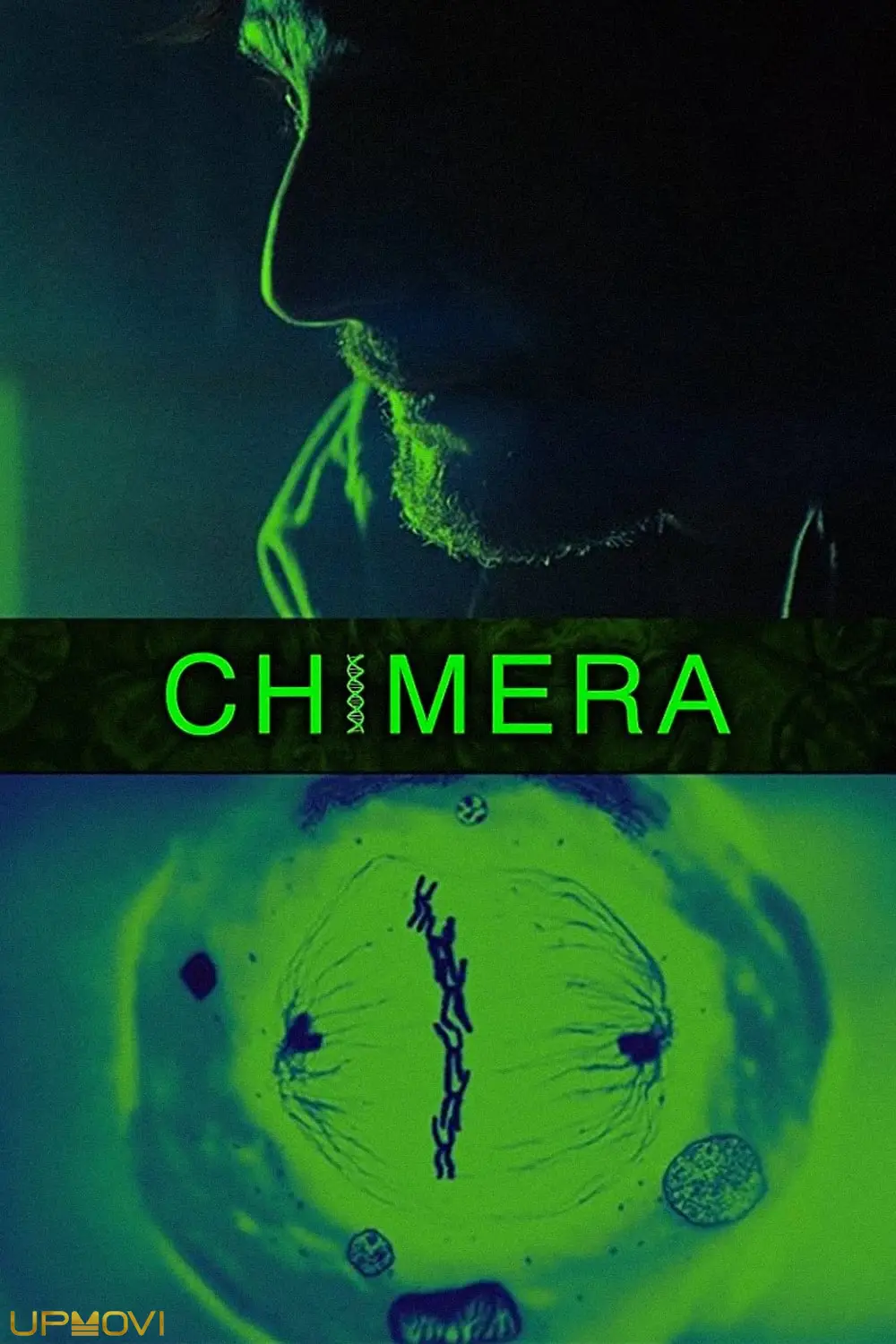 Chimera Strain