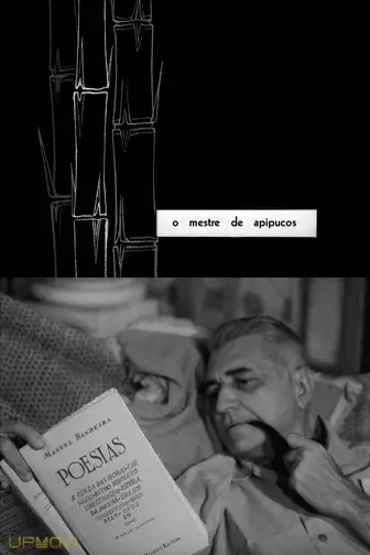 The Master of Apipucos