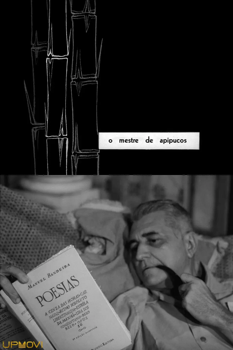The Master of Apipucos