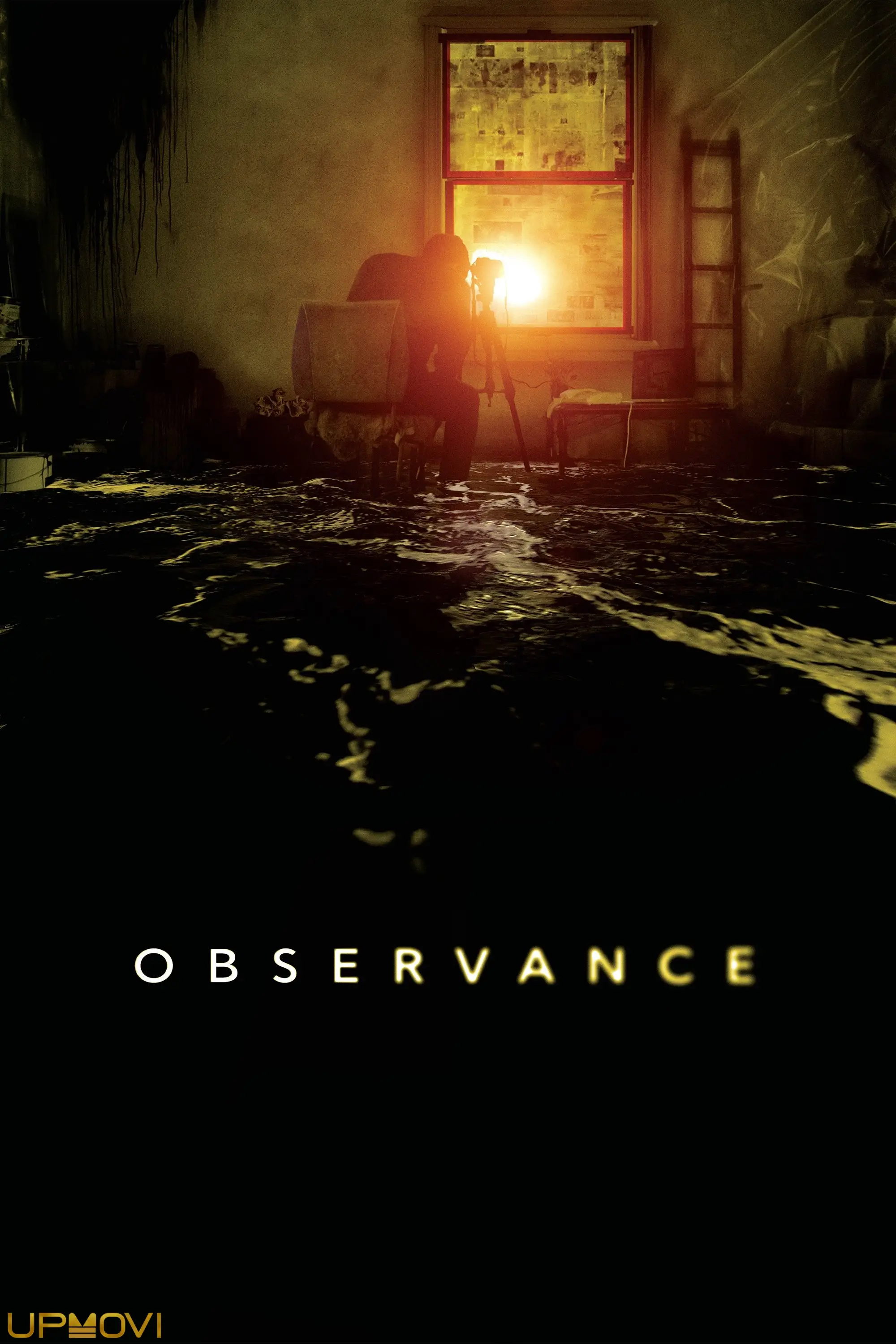 Observance