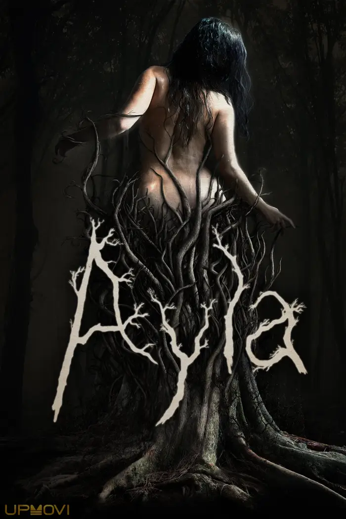 Ayla