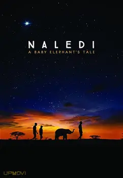 Naledi: A Baby Elephant's Tale