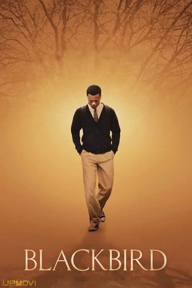 پرنده سیاه
