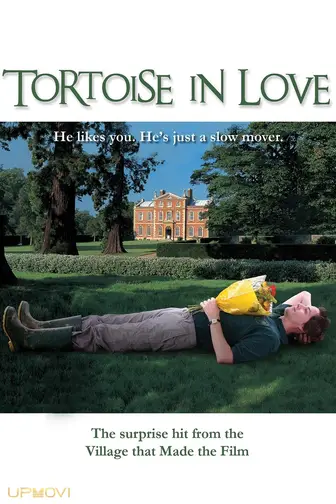 Tortoise in Love