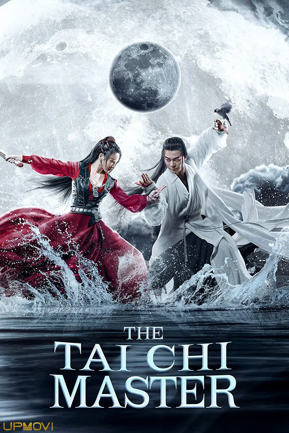 The Tai Chi Master