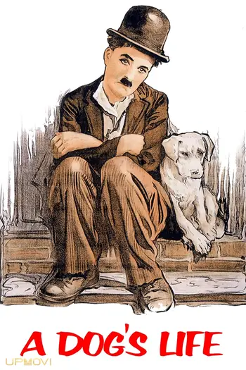 A Dog's Life
