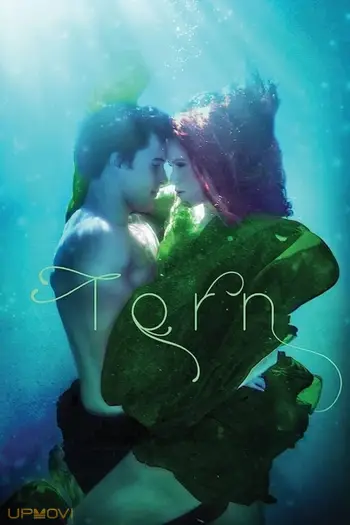 Torn