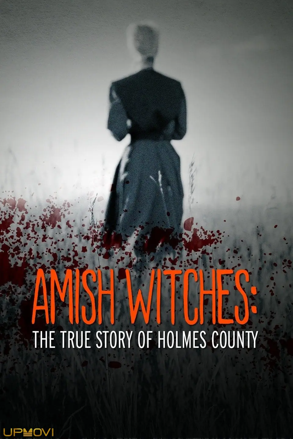 Amish Witches: The True Story of Holmes County