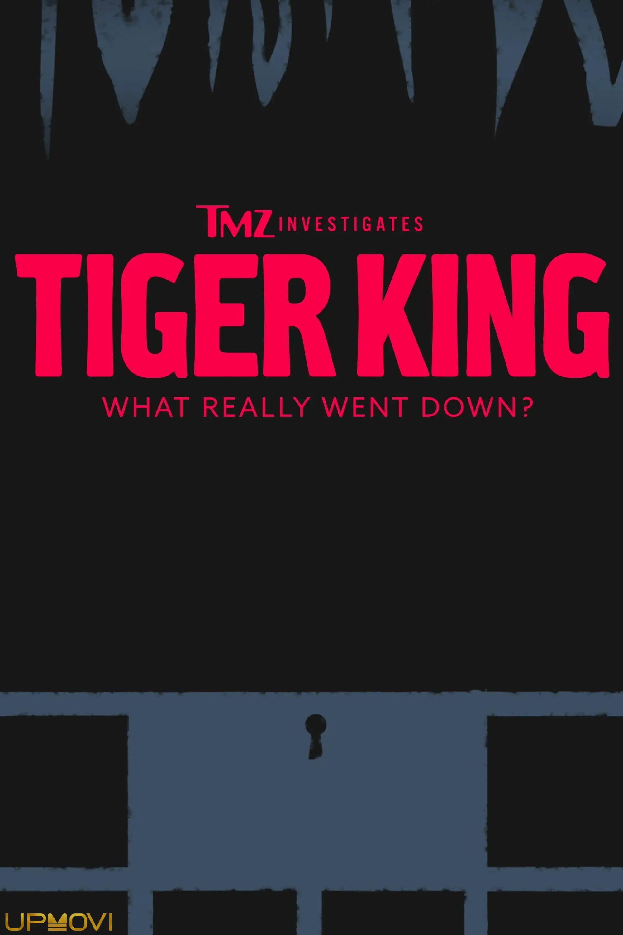 TMZ Investigates: Tiger King - What Really Went Down