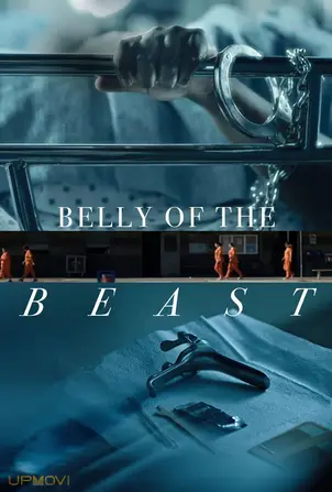 Belly of the Beast