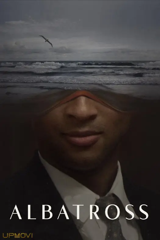 Albatross