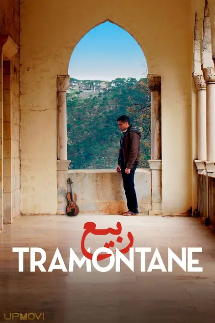 Tramontane