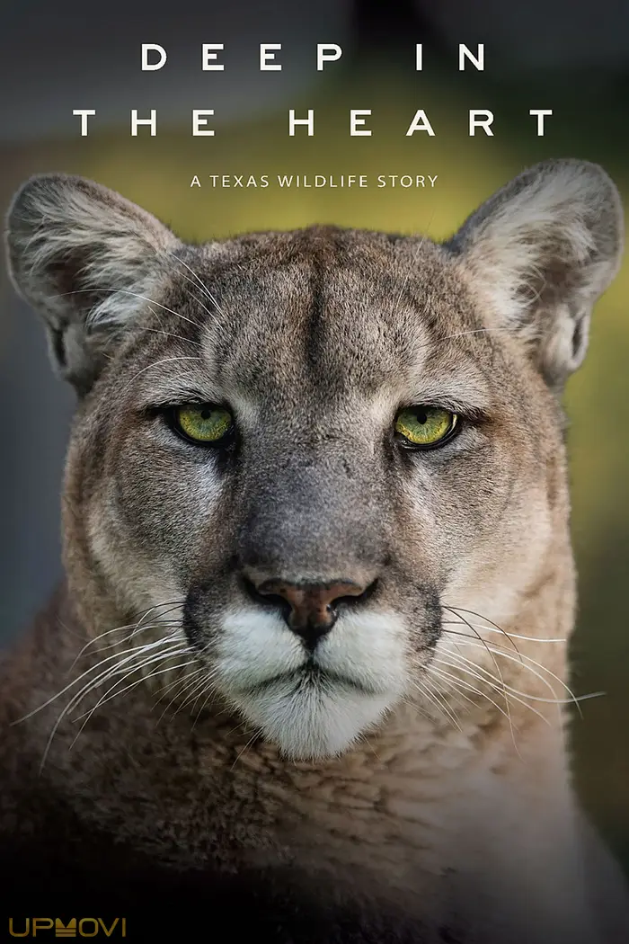 Deep in the Heart: A Texas Wildlife Story