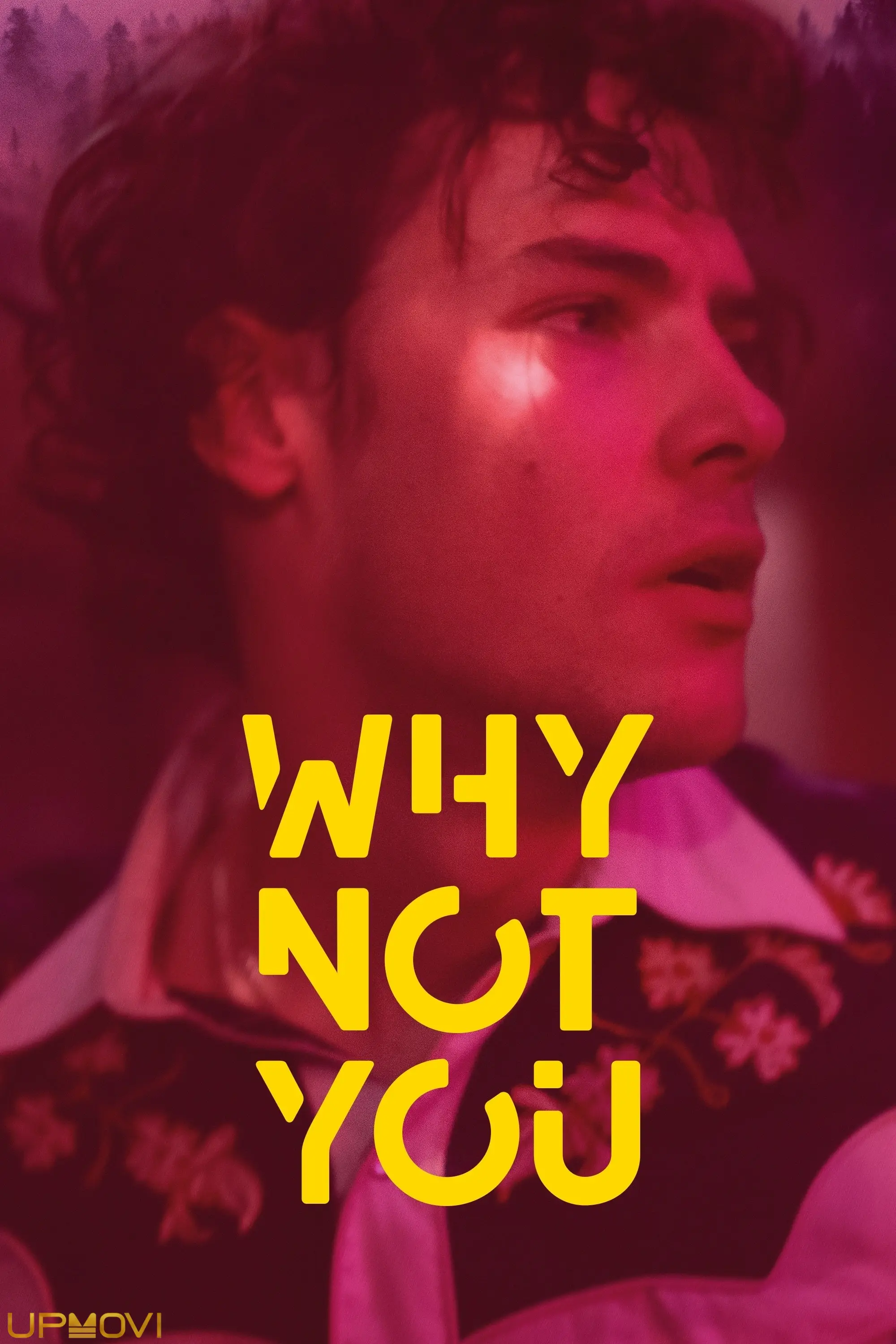 Why Not You