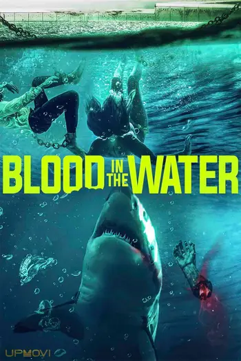 Blood in the Water