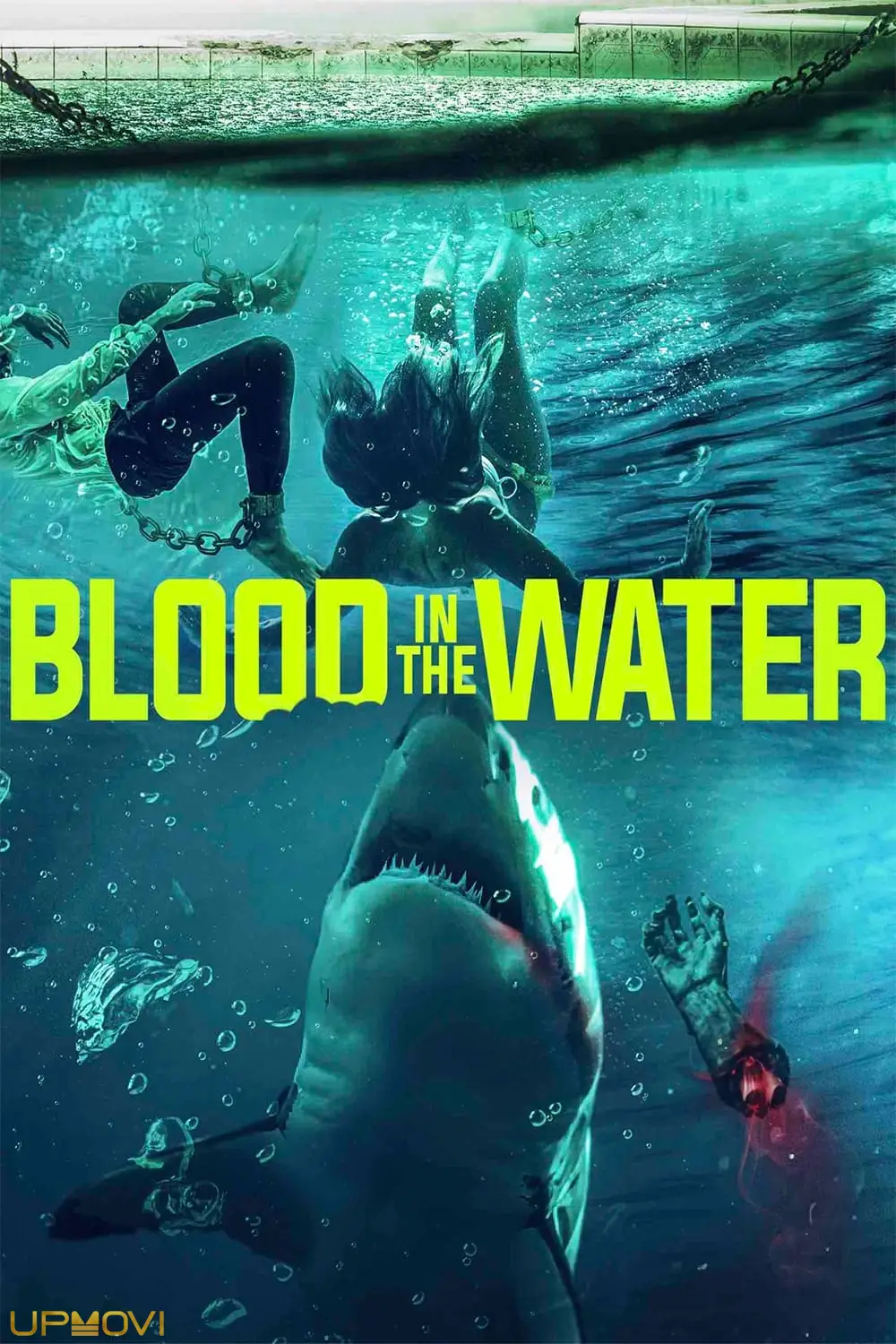 Blood in the Water