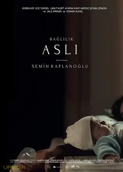 Commitment Aslı