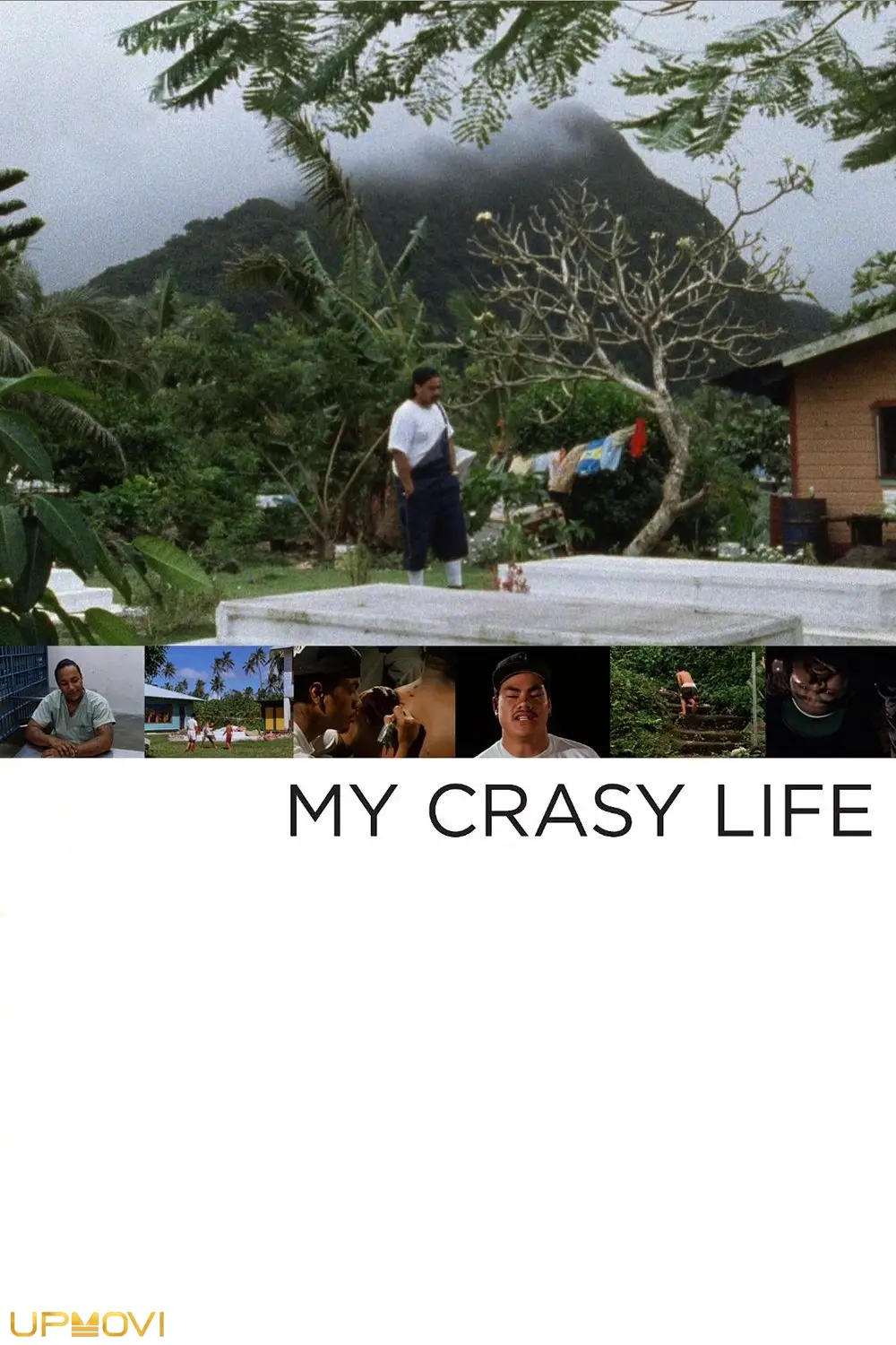 My Crasy Life