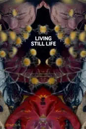 Living Still Life