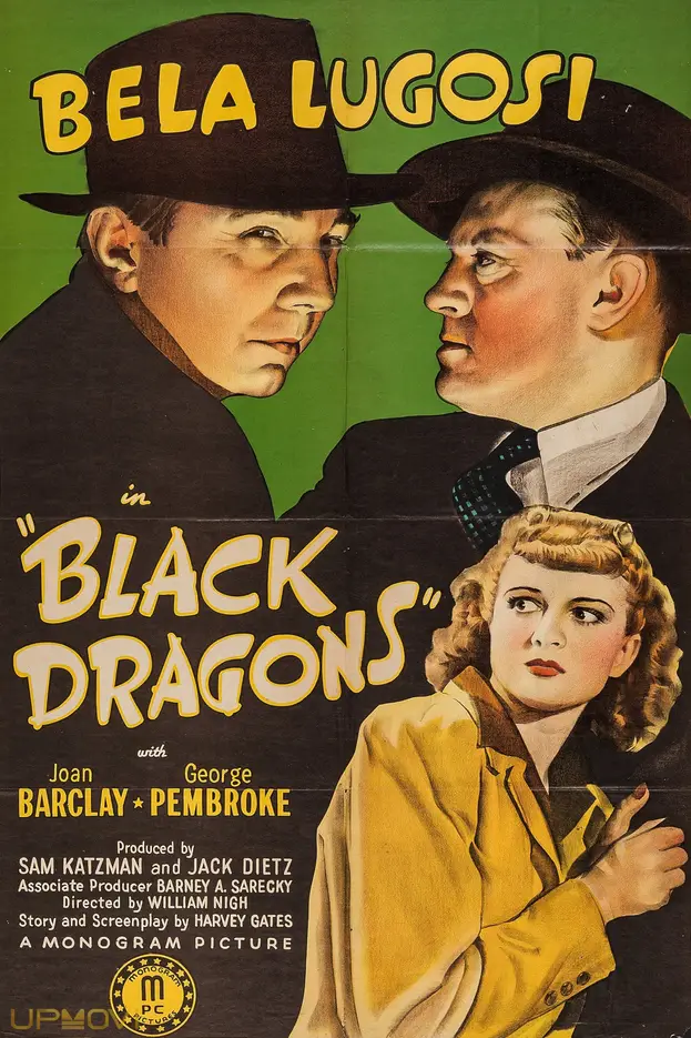 Black Dragons