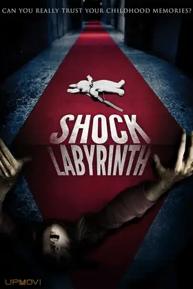 The Shock Labyrinth