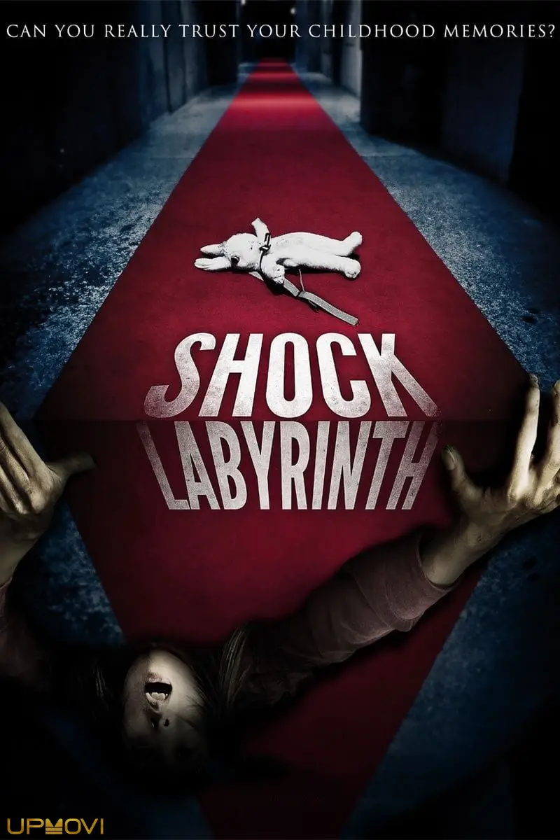 The Shock Labyrinth