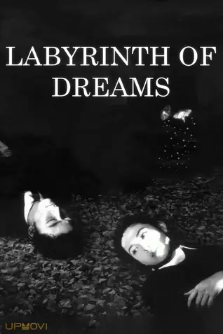 Labyrinth of Dreams
