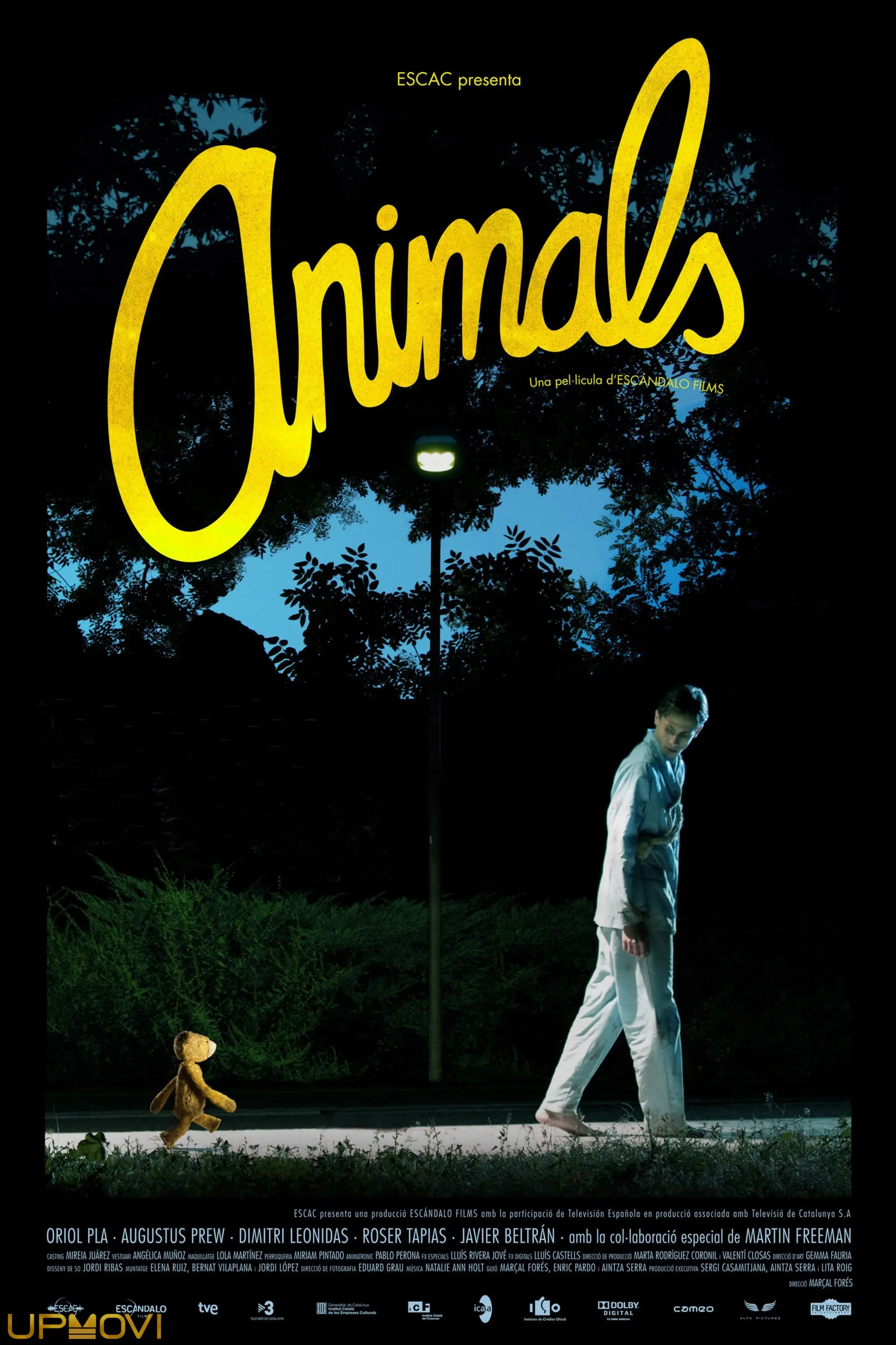 Animals